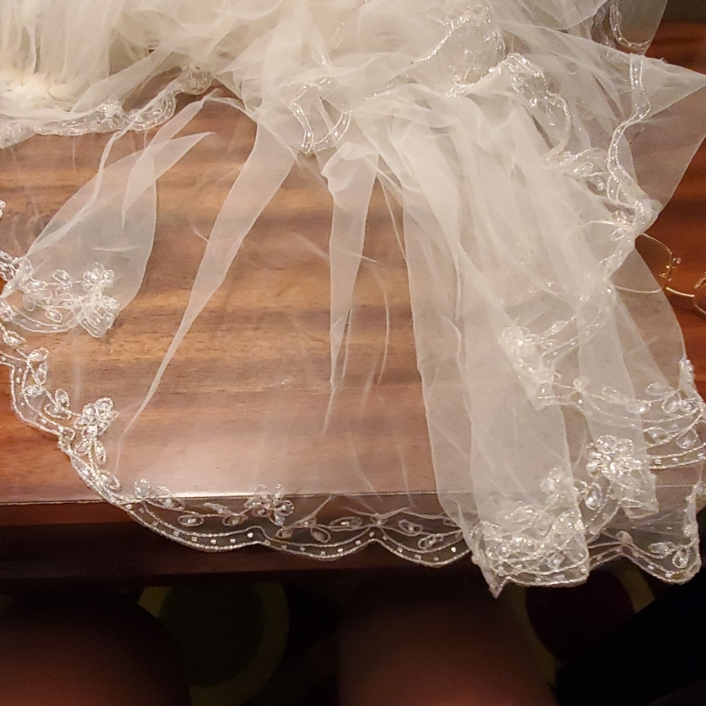 Veil - Picture 2 of 3